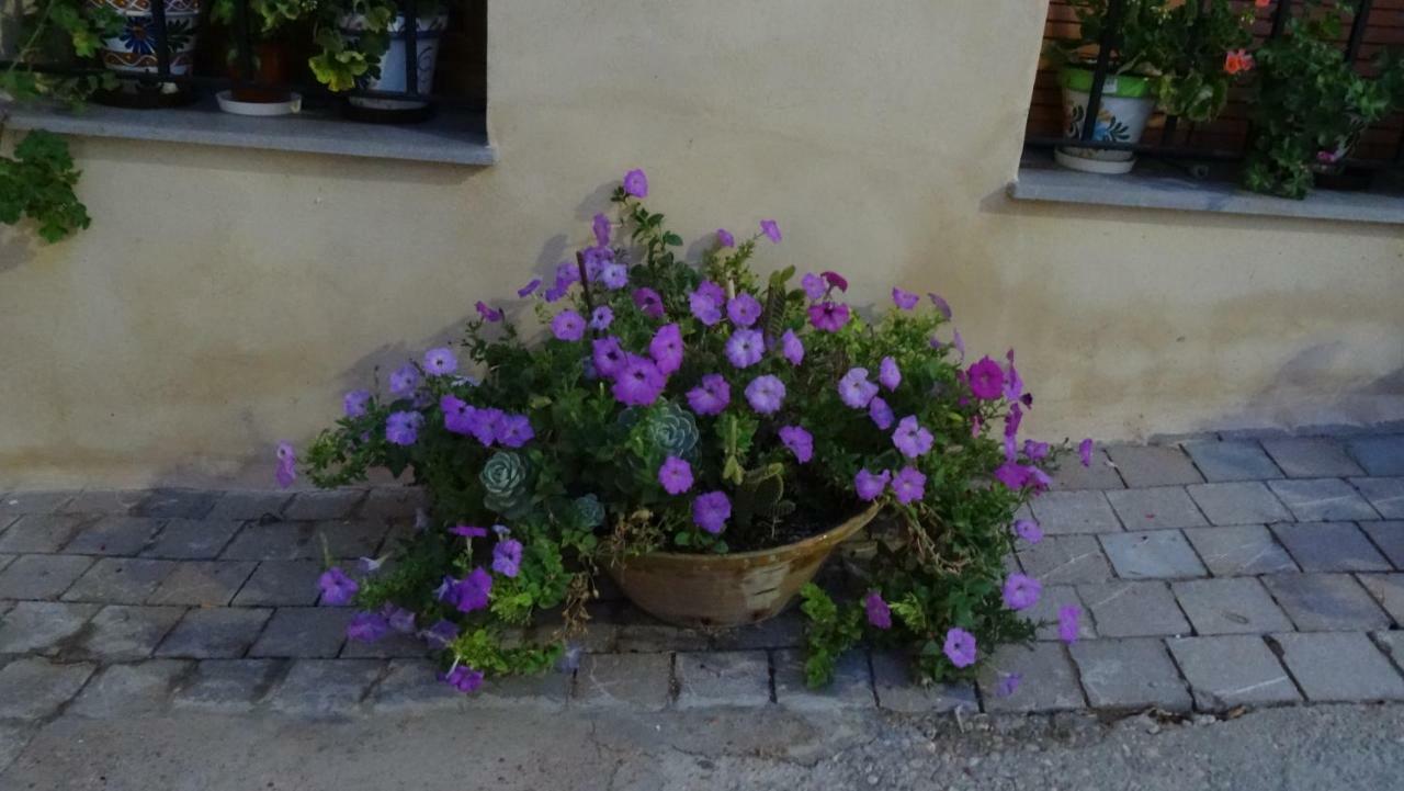 Casa Rural Francisca Requena Eksteriør billede